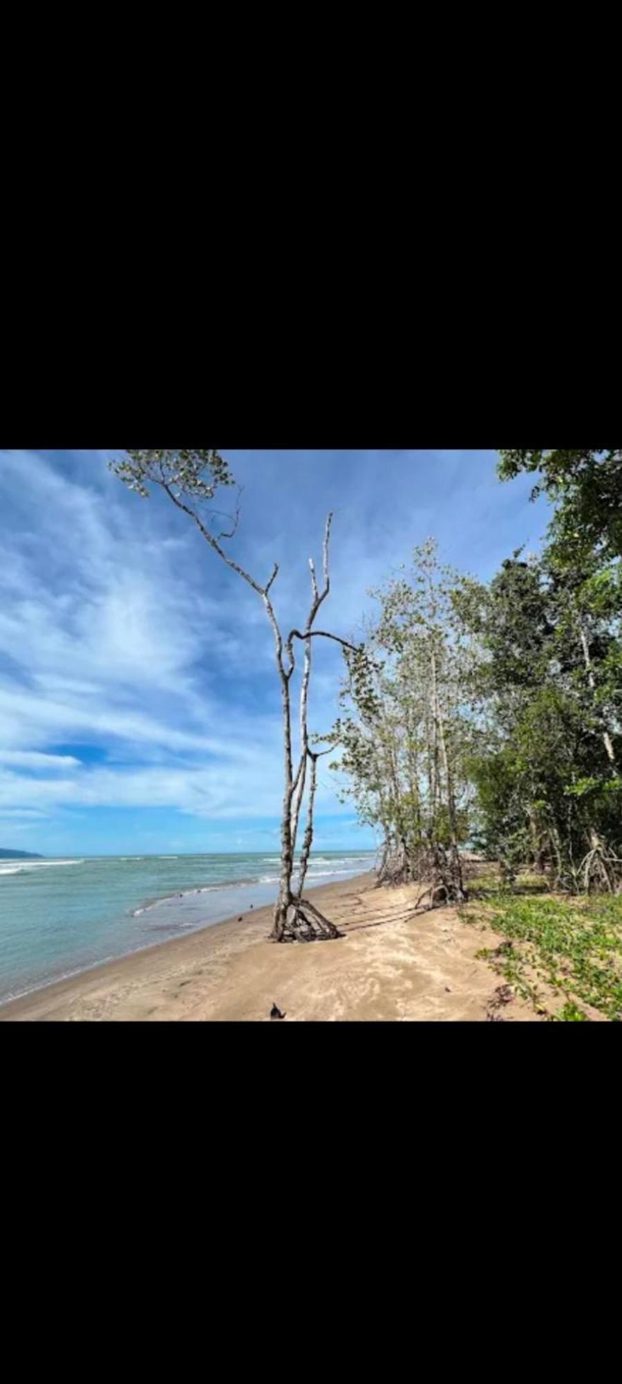 The Mangrove Villa Sematan Luaran gambar
